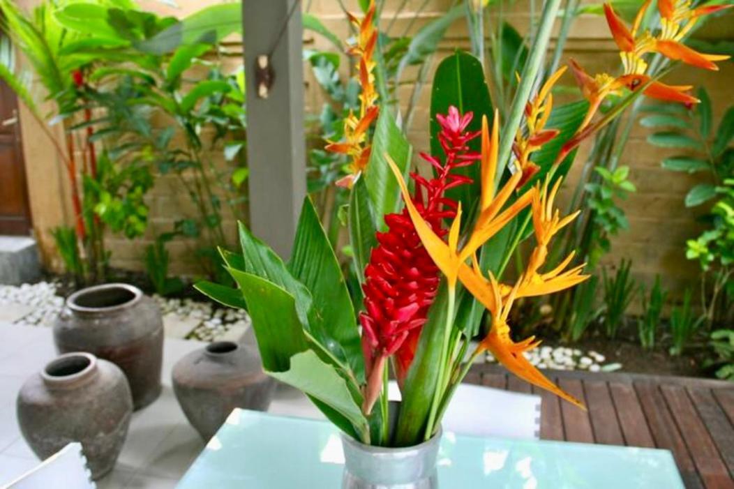 Villa Taman Rahasia, Sitara Villa Group Seminyak Dış mekan fotoğraf